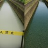 茅ヶ崎の水路白濁、本当の理由がヤバい？原因は工場の「謎の粉」なのに、なぜか非公表。