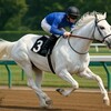 ハヤヤッコ競走中止も命に別状なしと判明