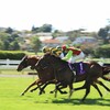 高松宮記念2025攻略ガイド：昨年覇者マッドクールvsナムラクレアの一騎打ち予想
