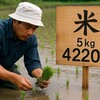米価格高騰でも「もうからない」農家の悲鳴|5つの構造問題と農家の本音