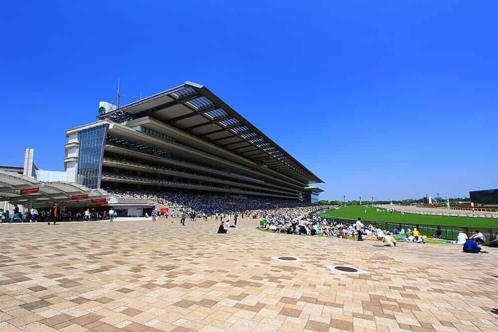 東京競馬場